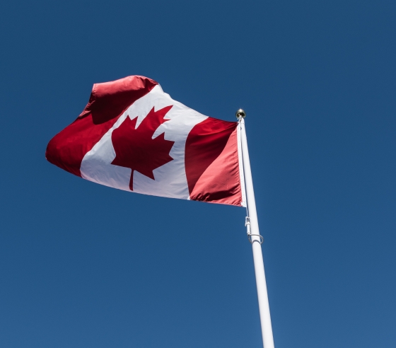 flag