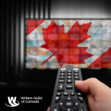 CanCon on our screens